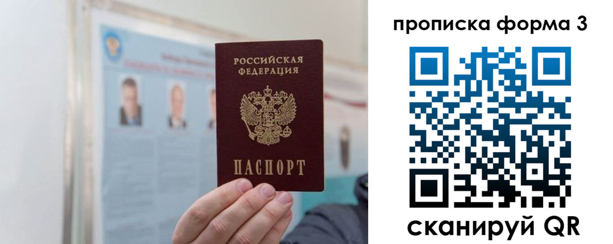 прописка законно в Сольцах